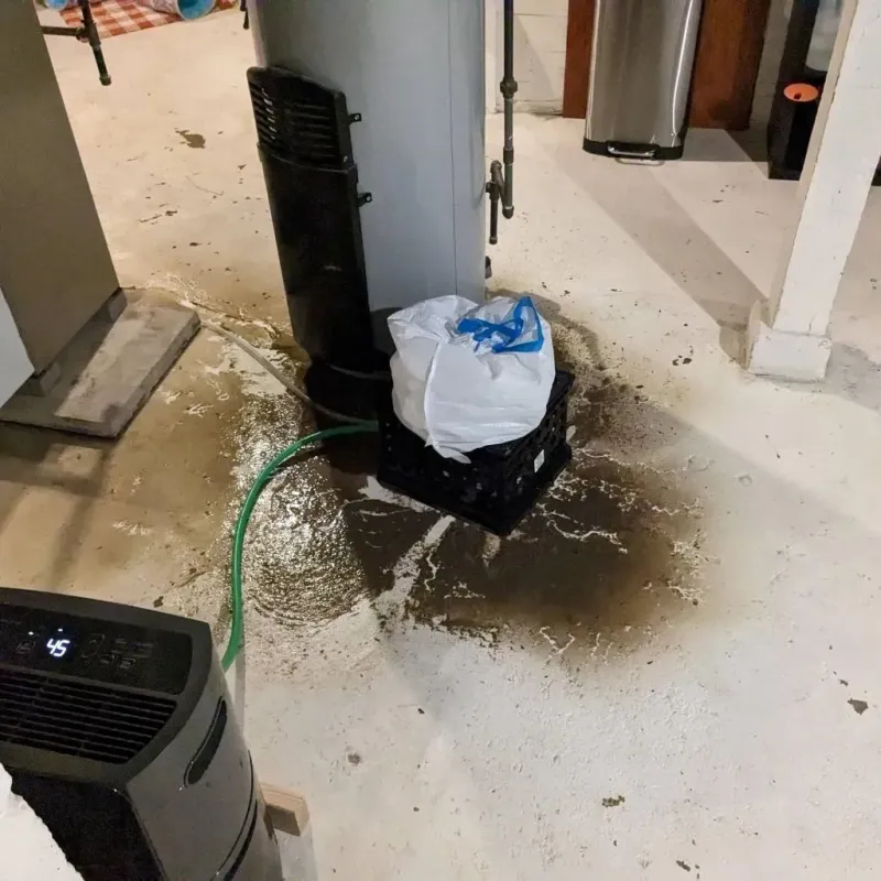 Sewage Backup Cleanup Service in Monteagle, TN